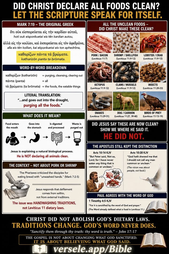 Did Christ say all foods are clean? Let's examine the text: